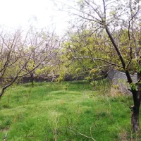 خانه باغ دهبکری،1150متر(سند تک برگ)