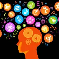 طراح تست های هوش تیزهوشان