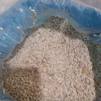 بذر گرمک گرگه