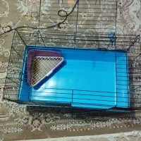قفس خرگوش