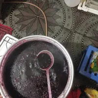 اب زرشک کوهی طبیعی|خوردنی و آشامیدنی|کرج, شهرک فهمیده|دیوار