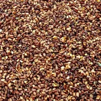 فروش کنجد|عمده‌فروشی|لار, |دیوار