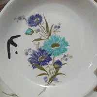 دونه ۹۰ همه طرح و گل بدون دیس قیمت دیسها ۱۸۰