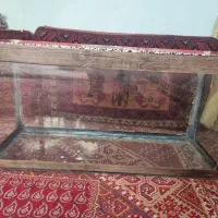 آکواریوم