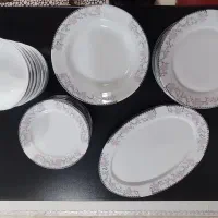 ظروف پذیرایی