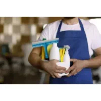 نظافت خونه خودتو به الماس تک بسپار
