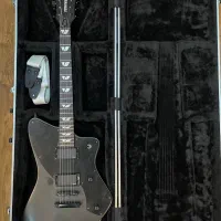 Fernandes vertigo delux