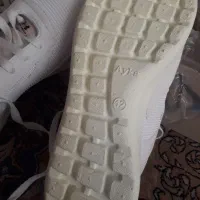 کفش|کیف، کفش، کمربند|بیرجند, |دیوار