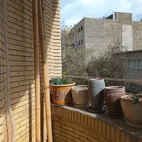 چوب بامبو برای تزیینات و دکور زدن