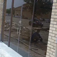 شیشه میرال/سکوریت|خدمات پیشه و مهارت|کرج, گوهردشت|دیوار