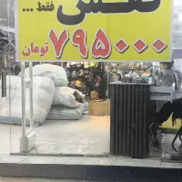 کفش فقط وفقط ۷۹۵ تومن