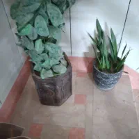 شلف ودرخت انار|گل مصنوعی|قم, باجک یک|دیوار