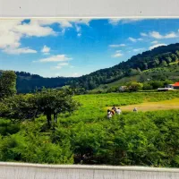 هدیه برای مناسبت‌های خاص|تابلو فرش|رشت, لاکان|دیوار