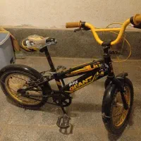 دوچرخه ۱۶جاینت اصلی