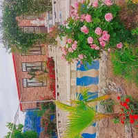 اجاره باغ ویلا