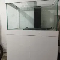 اکواریوم اب شور ریملس سوپر کلییر