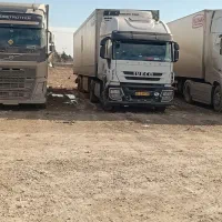 اویکو استرالیس