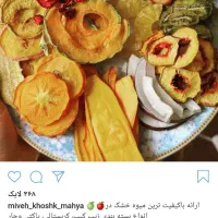 دستگاه میوه خشک کن|ماشین‌آلات صنعتی|بیرجند, |دیوار