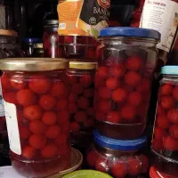 کمپوت خانگی