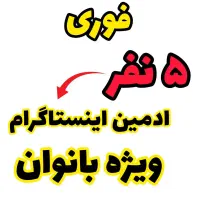 ویژه بانوان فروش در اینستاگرام داخل منزل با گوشی|استخدام بازاریابی و فروش|یزد, |دیوار