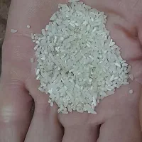 برنج فجرسوزنی درجه ۱|خوردنی و آشامیدنی|علیآباد کتول, |دیوار