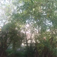 خانه-100متری-باحیاط-400متری-در-شهراراللو
