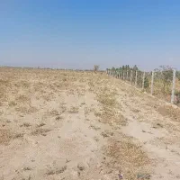 زمین-1500-متری-با-آب-هفتگی