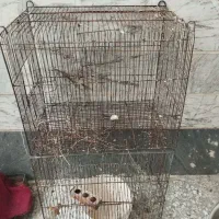 انواع قفس|لوازم جانبی حیوانات|قدس, شهر‌قدس|دیوار