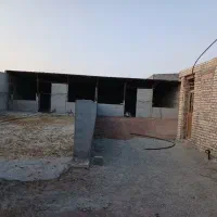 اجاره-دامداری-1000-متری