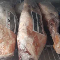 گوشت گرم زیر قیمت بازار افق کوروش بادامستان|عمدهفروشی|بیجار, |دیوار