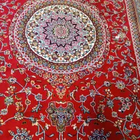 فرس 6متری  رنگ قرمز