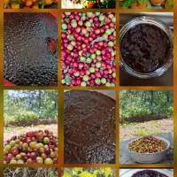 رب آلوچه ترش ملس سکنجبین،آب نارنج،آبغوره،مربا تمشک