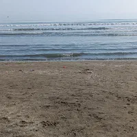 زمین-ساحلی-جاده-به-ساحل-درمتراژ300مترتا7هکتار