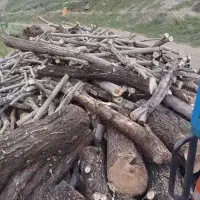 خرید انواع چوب تر و خشک خریدار|خدمات باغبانی و درختکاری|کرمانشاه, |دیوار
