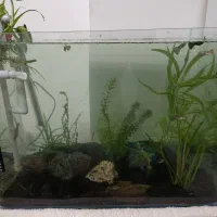 آکواریوم شیشه خم