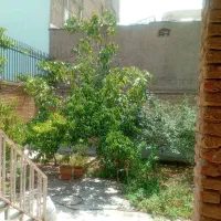 فروش حیاط ۲۲۴ متری/ جنوبی / دو نبش / جدیری شمالی