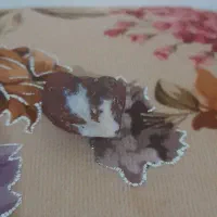 سنگ