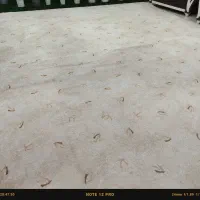 پالاز موکت|موکت|خشت, |دیوار