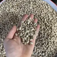 حبوبات|خوردنی و آشامیدنی|پاکدشت, خاتون آباد|دیوار