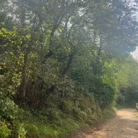 زمین-باغی-مناسب-کلبه