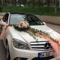 گل آرایی ماشین عروس با بالاترین تنوع و بهترین قیمت|گل و گیاه طبیعی|تهران, گلستان (شهرک راه آهن)|دیوار