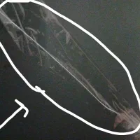 ویترین|بوفه، ویترین، کنسول|برخوار, |دیوار