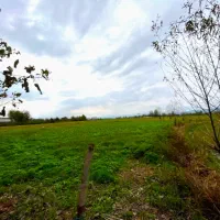 شالیزار2هزار متری چسبیده به بافت بامدارک شسته رفته|فروش زمین و ملک کلنگی|چاف و چمخاله, |دیوار