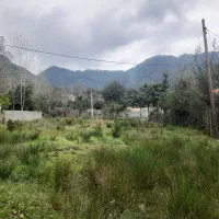 زمین مسکونی کوهپایه ای فاصله ۱۰۰ متری استخر دوقلو|فروش زمین و ملک کلنگی|ماکلوان, |دیوار