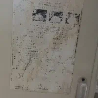 اسباب بازی پیلته ژاپنی|اسباب‌‌بازی|اهر, |دیوار