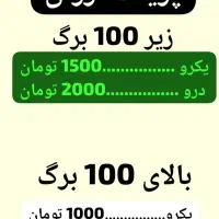 پرینت و کپی ارزان در اصفهان خیابان مخابرات|خدمات رایانه‌ای و موبایل|اصفهان, بهارستان (مخابرات)|دیوار