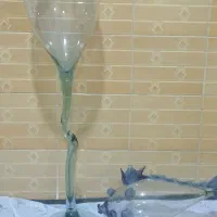 گلدان وتنگ باهم 200هزار تومان