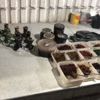 درخواست شاگرد قهوه خانه