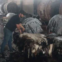 پوست گاو دباغی شده،فرشینه ،گاوی ، گاو ، گوساله|فرش|تهران, جوادیه تهرانپارس|دیوار