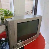 تلویزیون